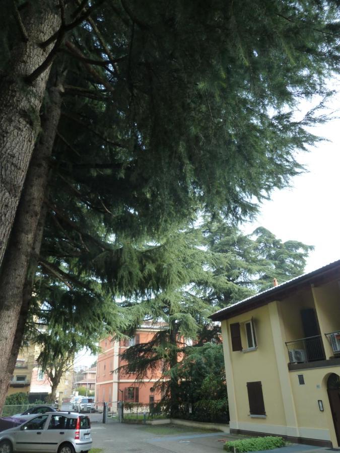 Il Giardinetto - Smart Working - Airport - Private Parking - Private Garden - Ducati - Philip Morris Apartment Bologna Exterior photo